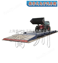 SCS-XC-F數(shu)字式(shi)電(dian)子(zi)汽車(che)磅(bang)