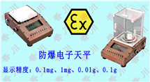200g/0.1mg防(fang)爆電(dian)子(zi)天(tian)平(ping)